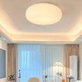 Modern Minimalist Oval Järn PE LED Taklampa För Sovrum