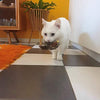 Interaktiv Katt Legetøj - ChirpBird