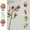 Set med 4 Realistiska Magnol blommor – Elegant och Tidlös för Bröllop och Lyxig Dekoration