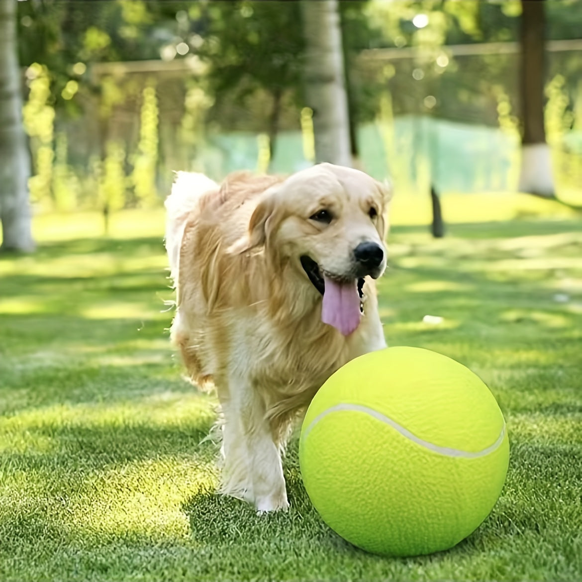 Extra hållbar stor hundtennisboll – Idealisk för utomhuslek och aktiviteter