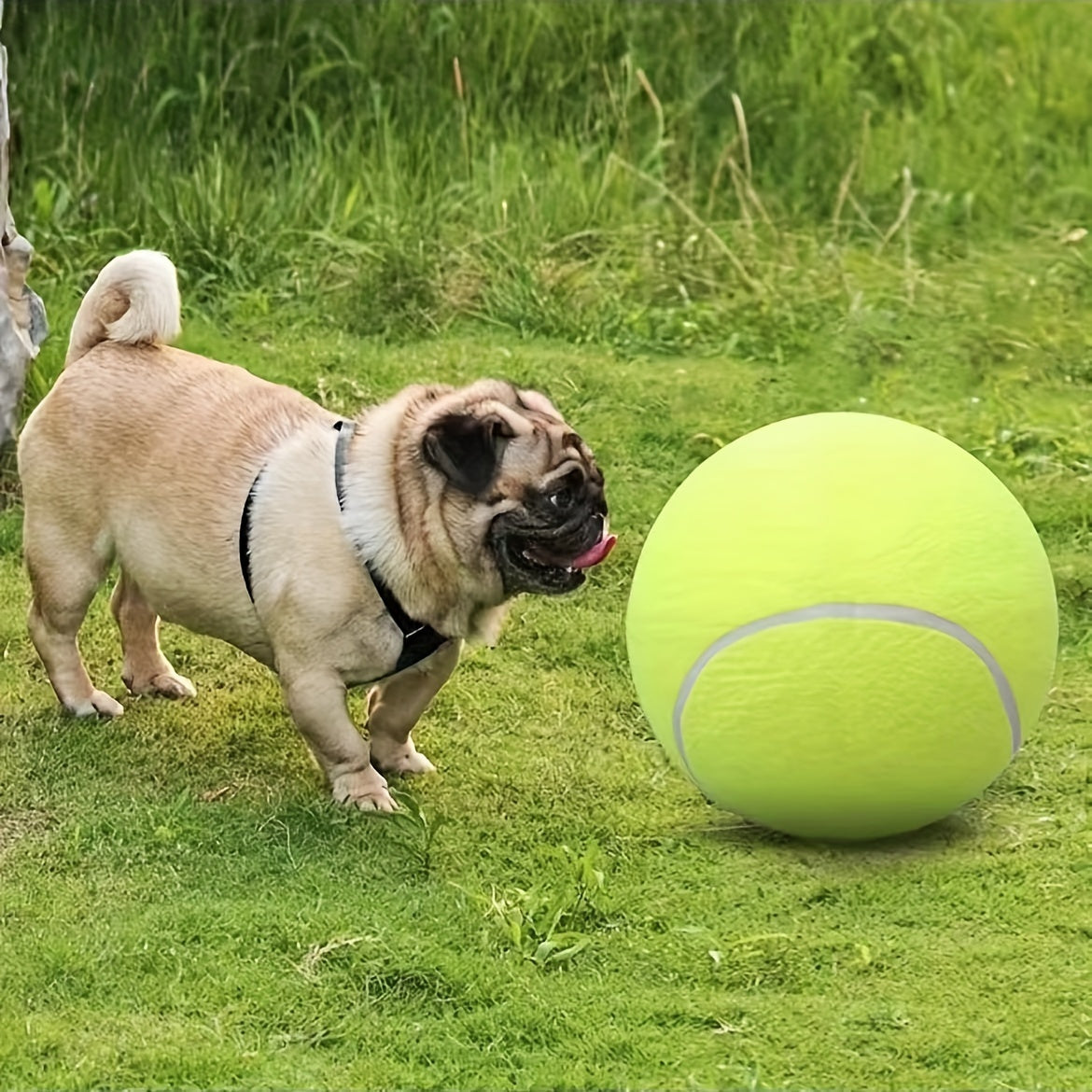 Extra hållbar stor hundtennisboll – Idealisk för utomhuslek och aktiviteter