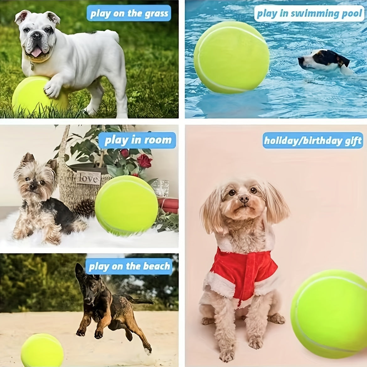 Extra hållbar stor hundtennisboll – Idealisk för utomhuslek och aktiviteter