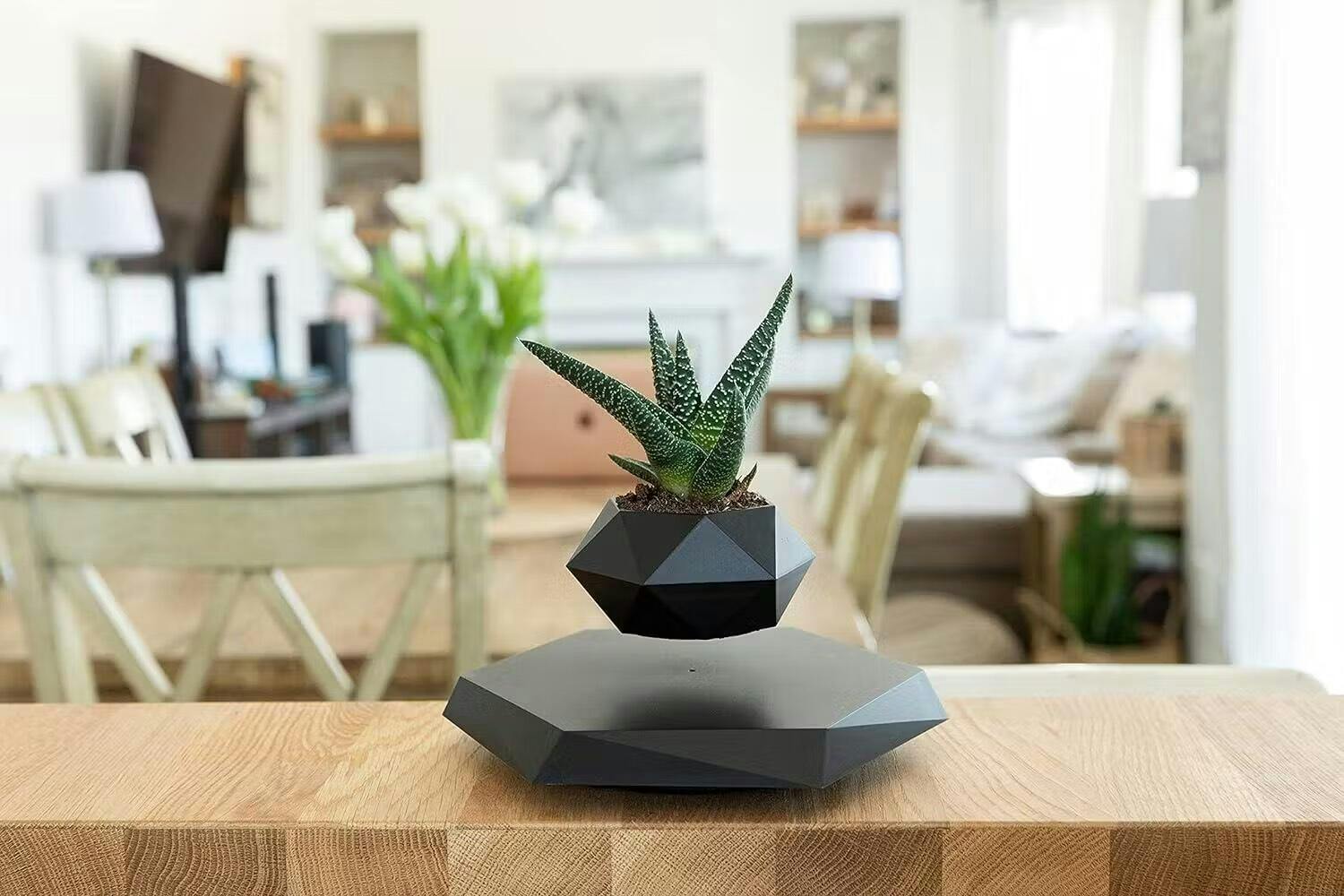 Flytande Blomkruka med Magnetisk Lävitation - Liva