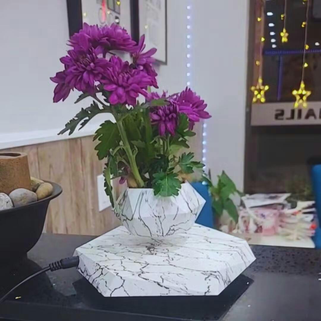Flytande Blomkruka med Magnetisk Lävitation - Liva