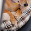 Plush Pet Car Seat – RideSafe CozySeat