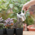 Aspersor de Agua Inoxidable con Cuello Flexible | Diseño Moderno | Riego Perfecto | Inoxidable