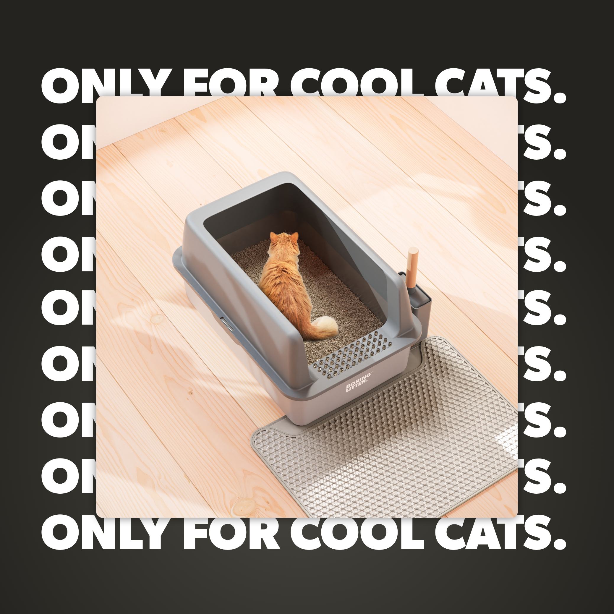 Stainless Steel Kattsandlåda – SteelClean