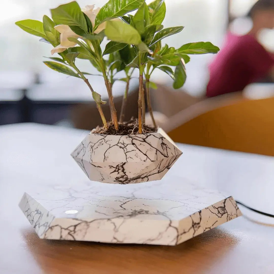 Flytande Blomkruka med Magnetisk Lävitation - Liva