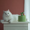 Kattfontän – SpringFlow™