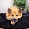 Fluffy Plus Hundbädd – Den Originala