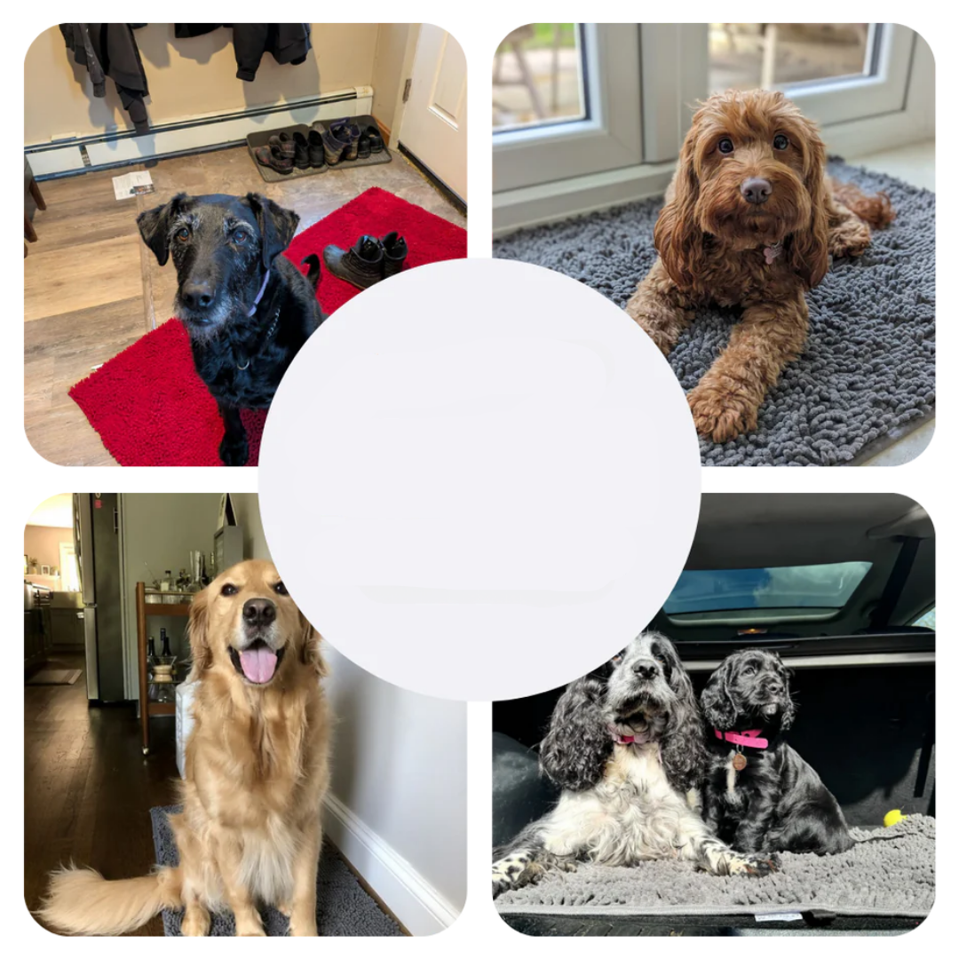 Superabsorberande hundmatta – PawMat