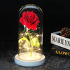 Lampada LED Rosa Romantica GlowPetal | Decorazione con Cupola in Vetro e Luce Soft per Momenti Speciali