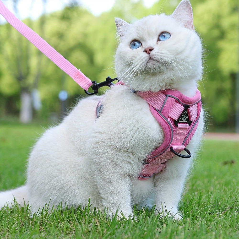 Reflekterande kattsele och koppelset – Idealisk för promenader och träning