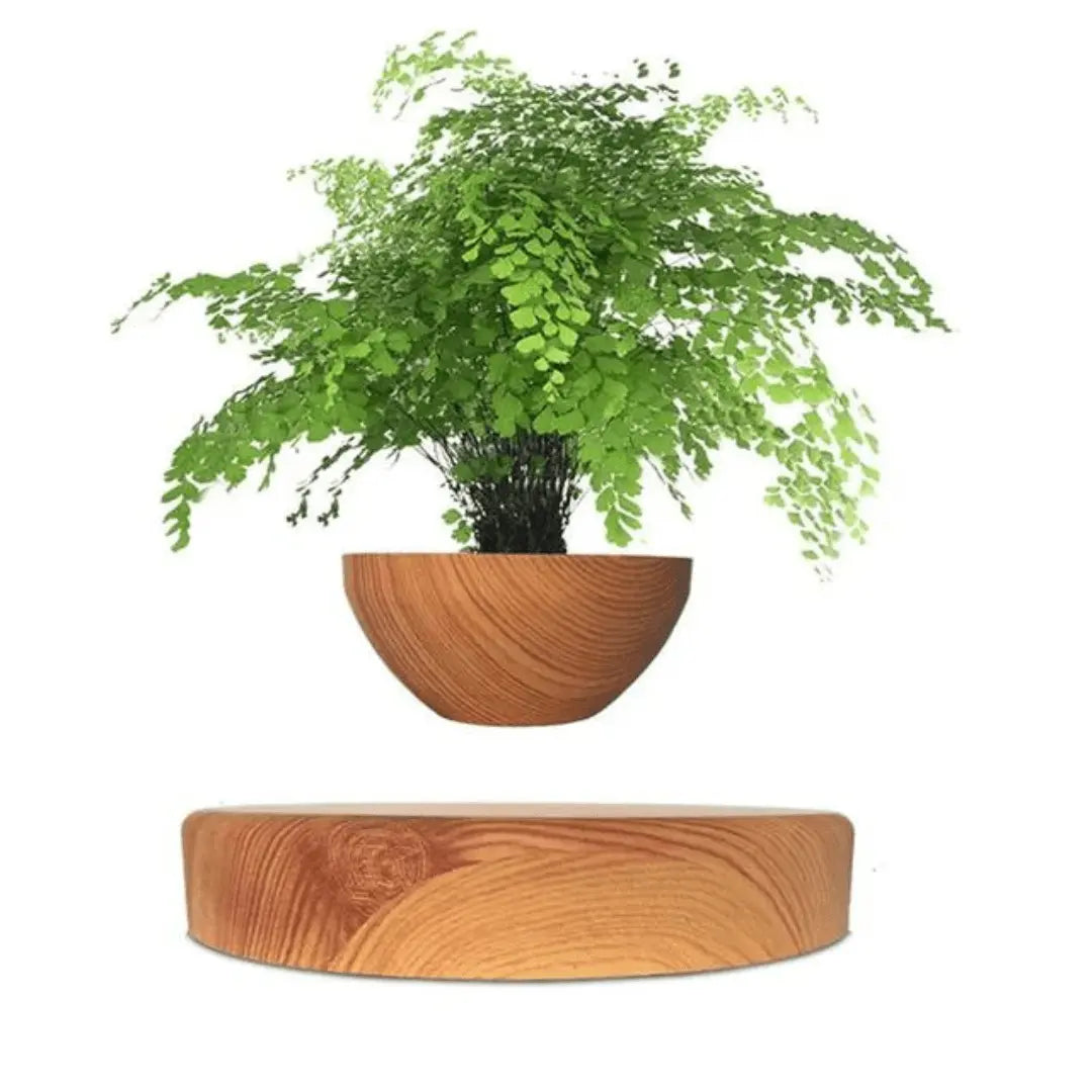Flytande Blomkruka med Magnetisk Lävitation - Liva