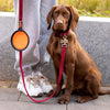 Fällbar Hund- och Kattskål – Hållbar och Kompakt