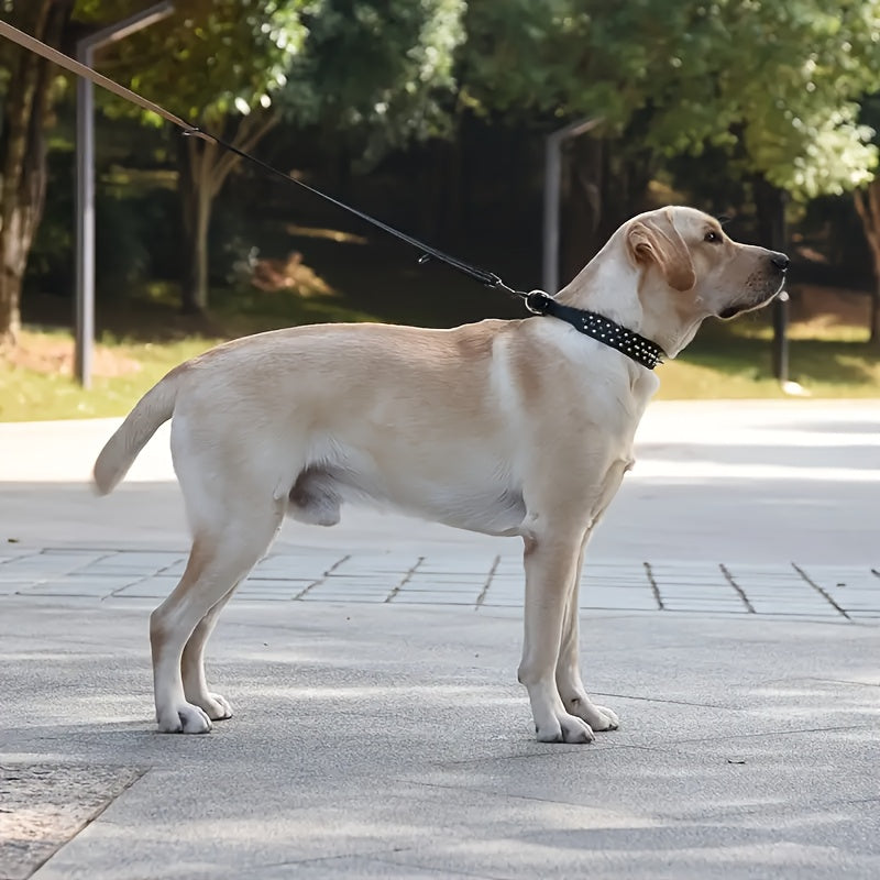 Justerbar Spikad Hundhalsband - Stark och Säker för Stora Hundar