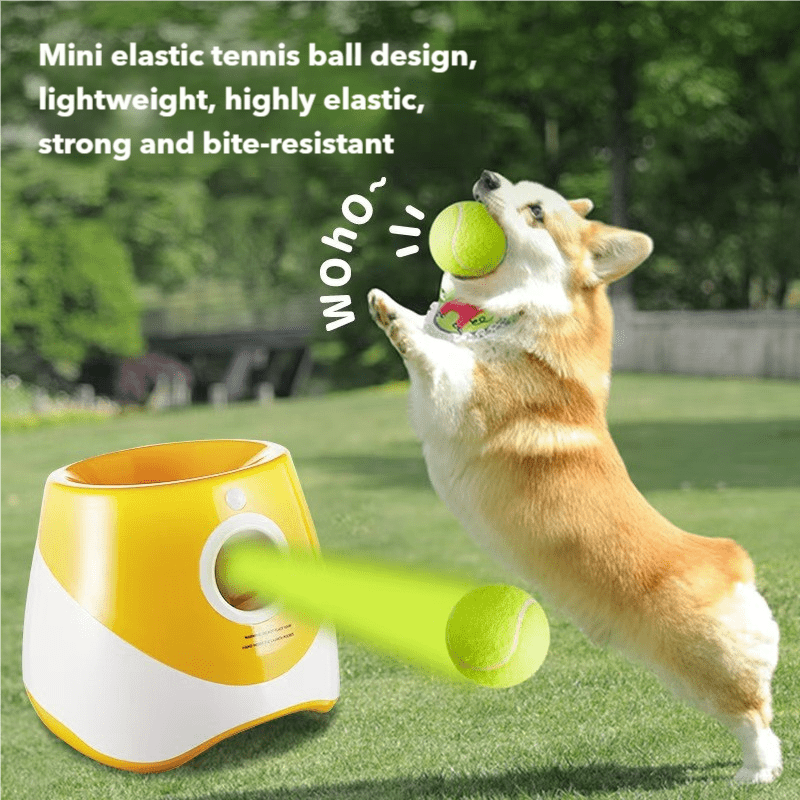 FetchMaster Pro – Interaktiv Automatisk Hundbollskastare med USB-laddning