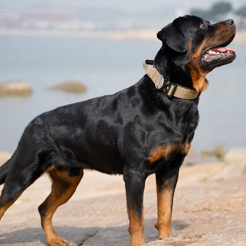 Taktisk Hundhalsband med Handtag - PowerGrip