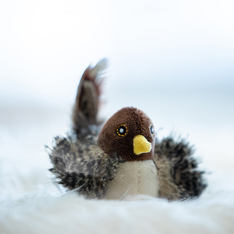 Interaktiv Katt Legetøj - ChirpBird