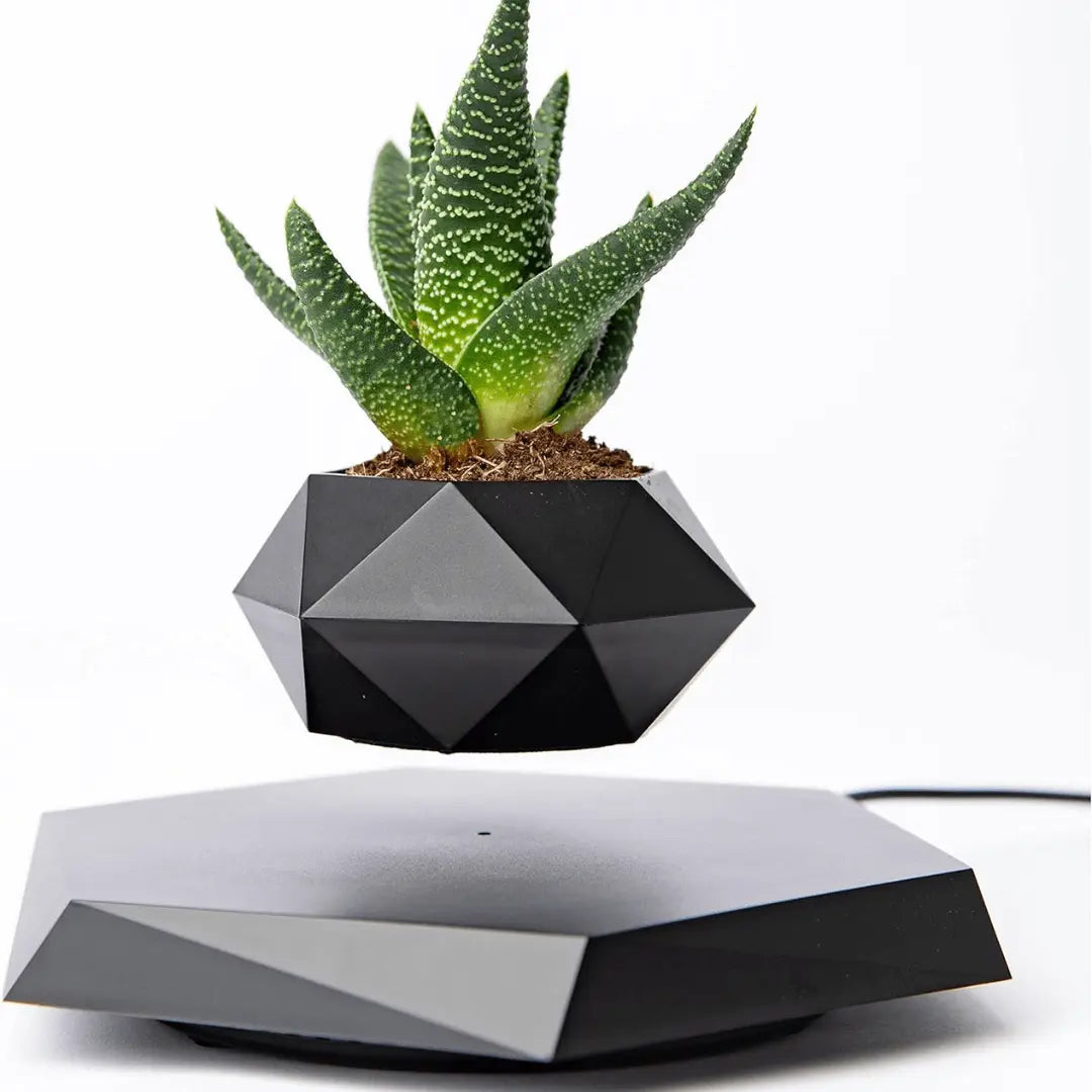Flytande Blomkruka med Magnetisk Lävitation - Liva