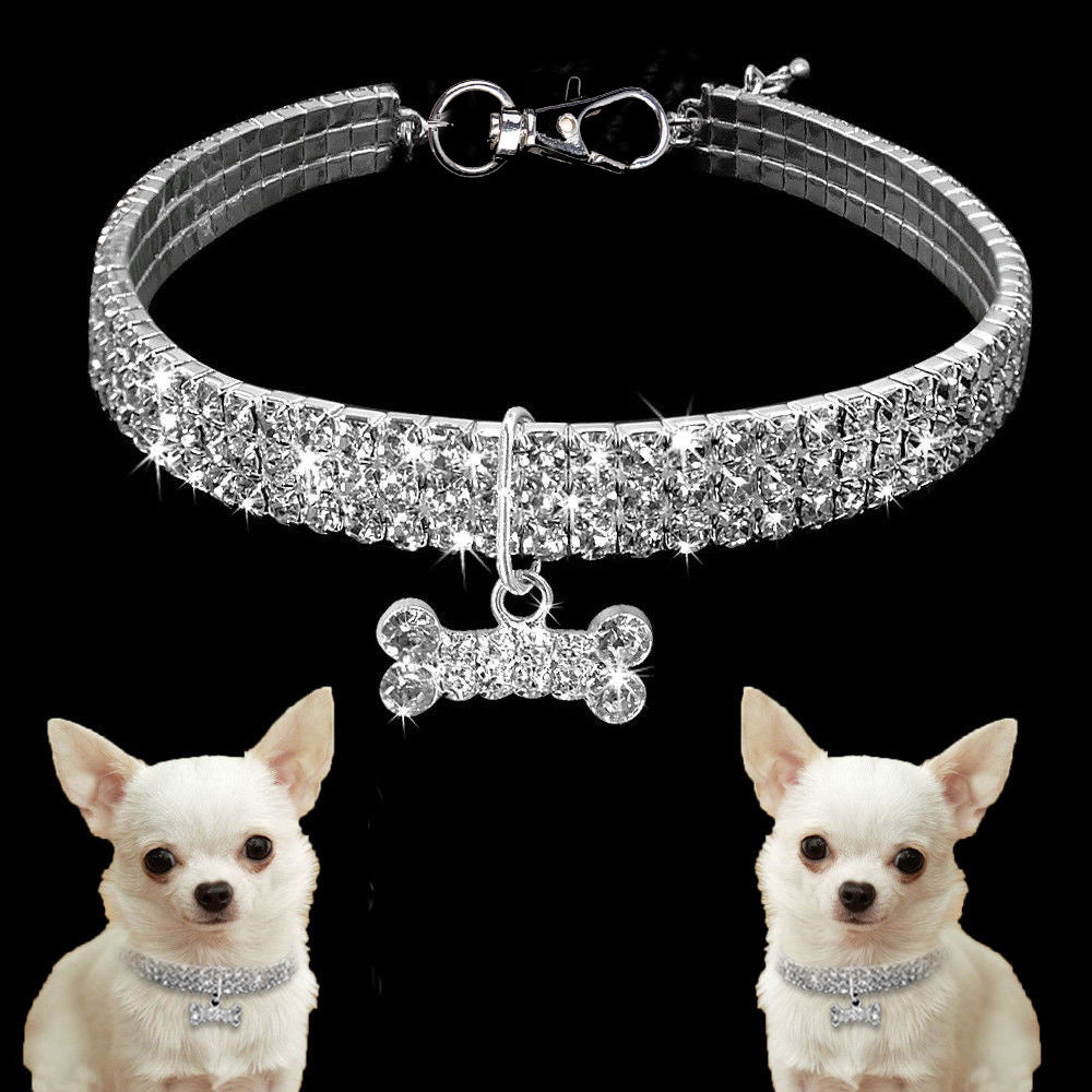 Premium Hundhalsband - Bling It On