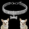 Premium Hundhalsband - Bling It On
