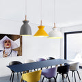 AuroraLite Nordic Pendelleuchte | Metalldesign | 1-Lampe | Moderne Farboptionen