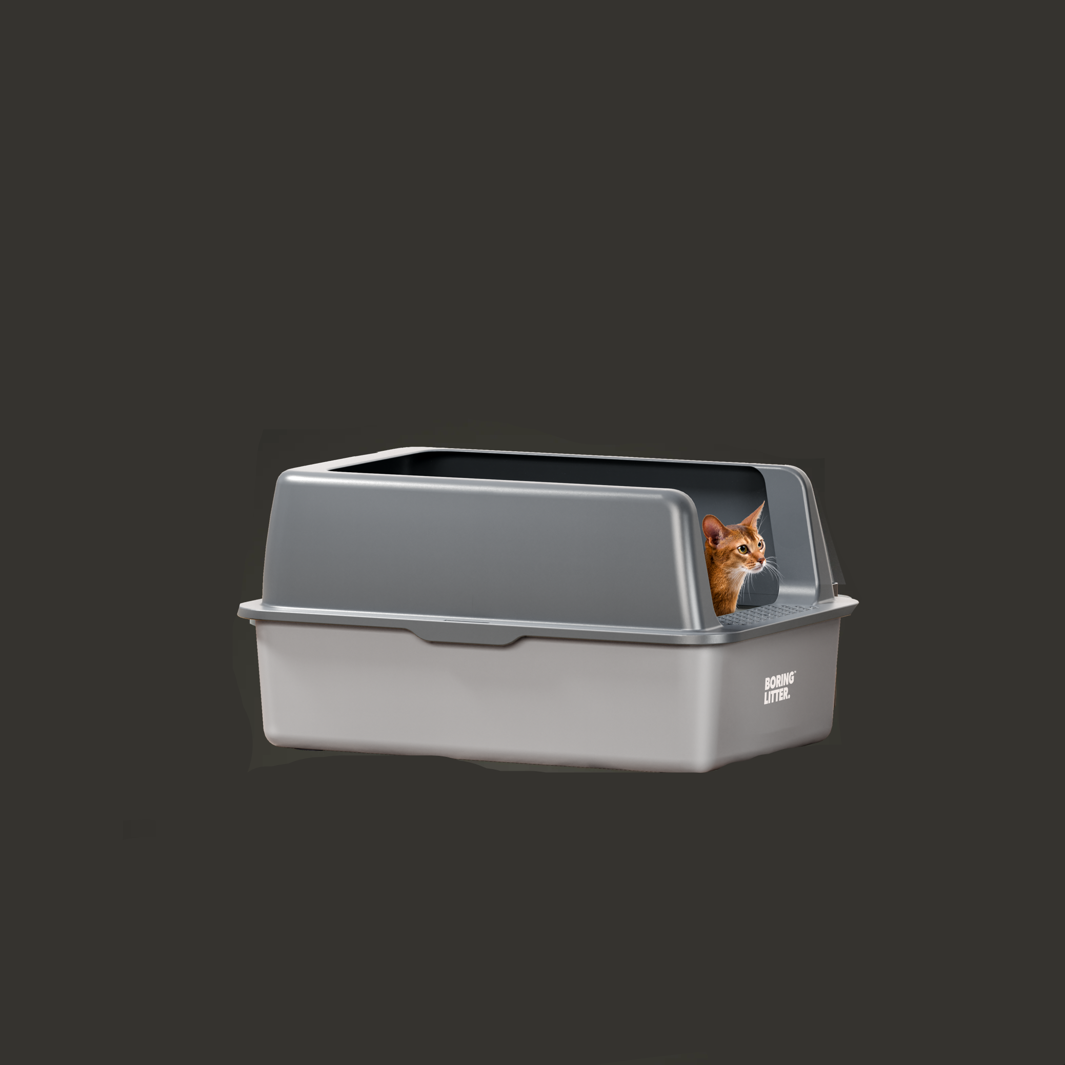 Stainless Steel Kattsandlåda – SteelClean