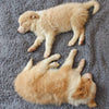 Mjuka Vintervalpar Filtar - SnuggleFur Fleece