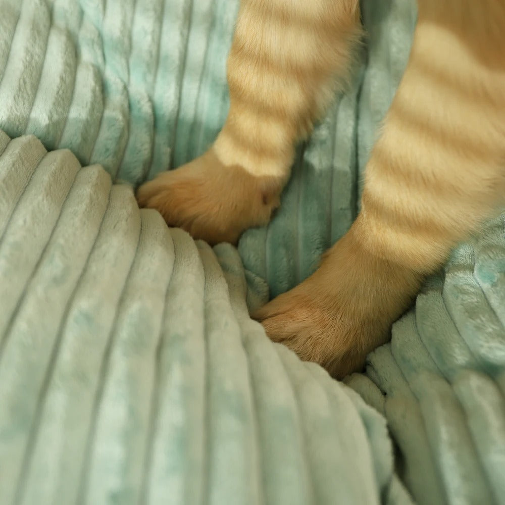 PawHaven Plush Hundsäng | Ultra-Mjuk, Maskintvättbar Djurkomfortsäng
