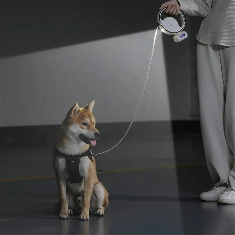 LED Automatisk Hundkoppel – Ergonomiskt Handtag & Säkerhetsljus