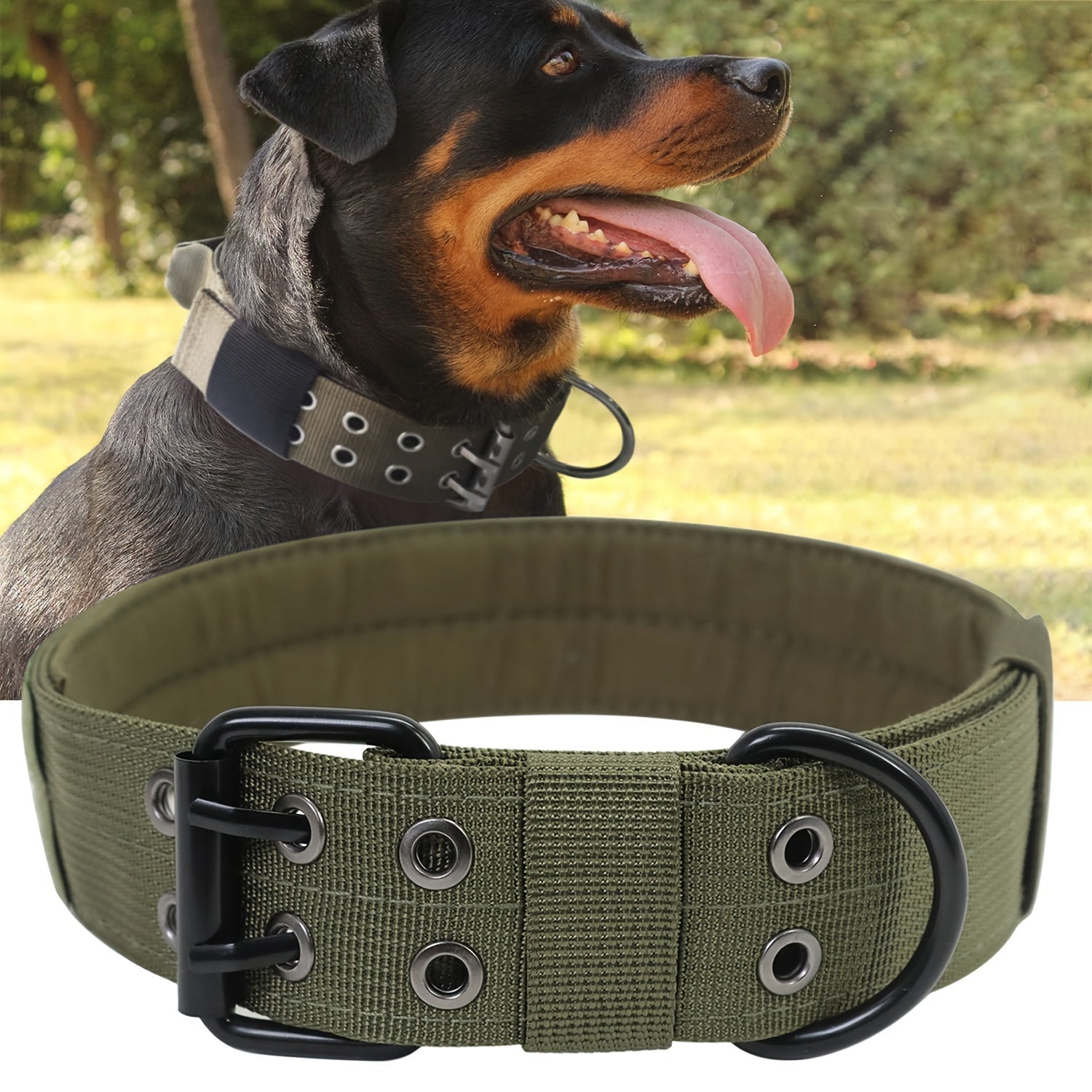 Justerbar Nylon Hundhalsband – Komfort och Kontroll för Stora Hundar