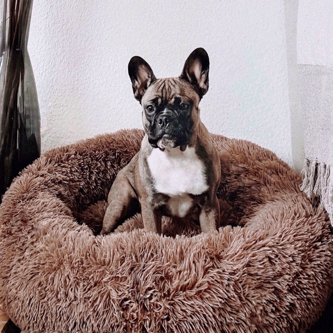 Fluffy Plus Hundbädd – Den Originala