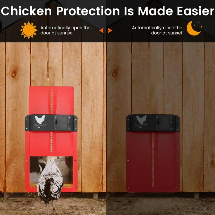 PoultryGuard Luxe Automatisk Dörr | Smart ljusstyrd dörr för säkra och trygga höns