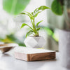 Flytande Blomkruka med Magnetisk Lävitation - Liva