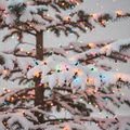Multicolored Mini Christmas Lights 100 Bulbs | Indoor & Outdoor | Festive Decoration