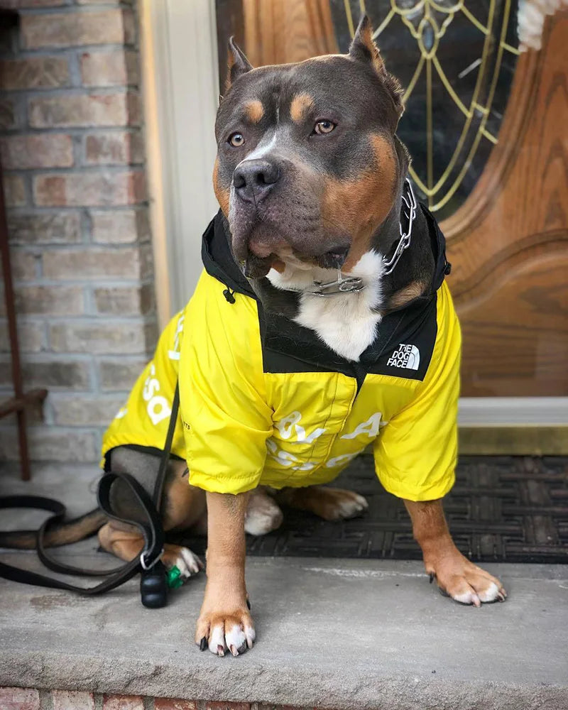 PawDry Stormproof Hundjacka | Lättvikts vindjacka för franska bulldoggar, chihuahuas och mer