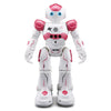 Interaktiv Utbildningsrobot - NovaBot