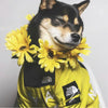 PawDry Stormproof Hundjacka | Lättvikts vindjacka för franska bulldoggar, chihuahuas och mer