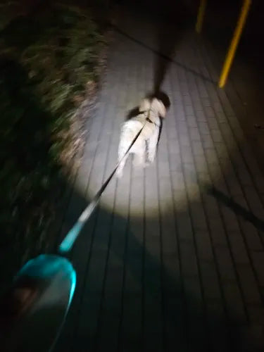 NobleStride LED Hundkoppel | Stiligt och Säkert Utdragbart Koppel för Hundar