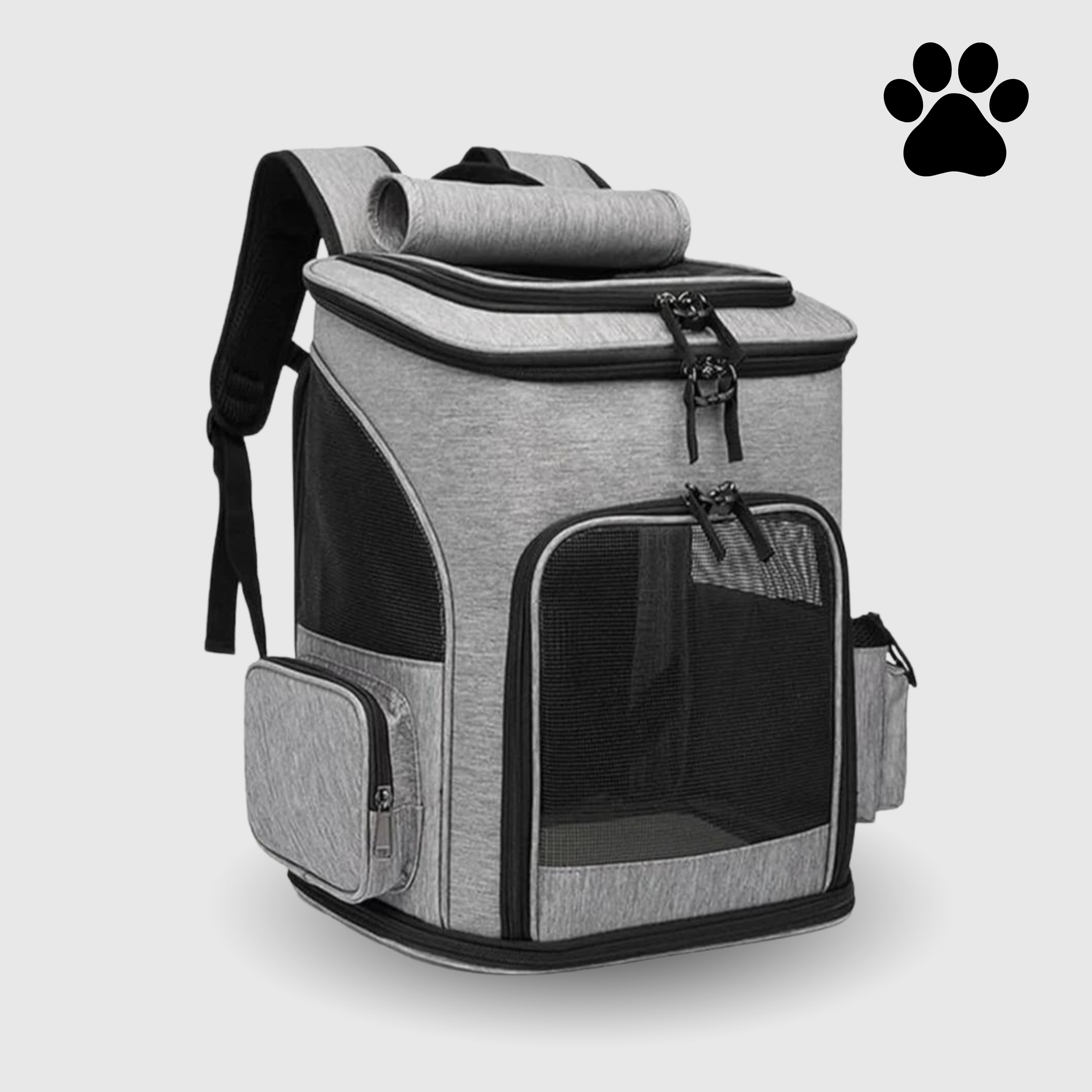 Katt Ryggsäck – PurrPack