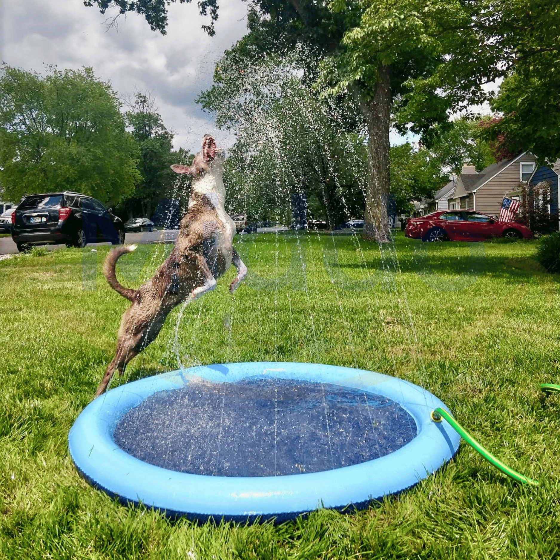 Vatten Jet Lekområde – SplashZone