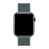 Milanese Apple Watch-armband – SteelFlex