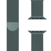 Milanese Apple Watch-armband – SteelFlex