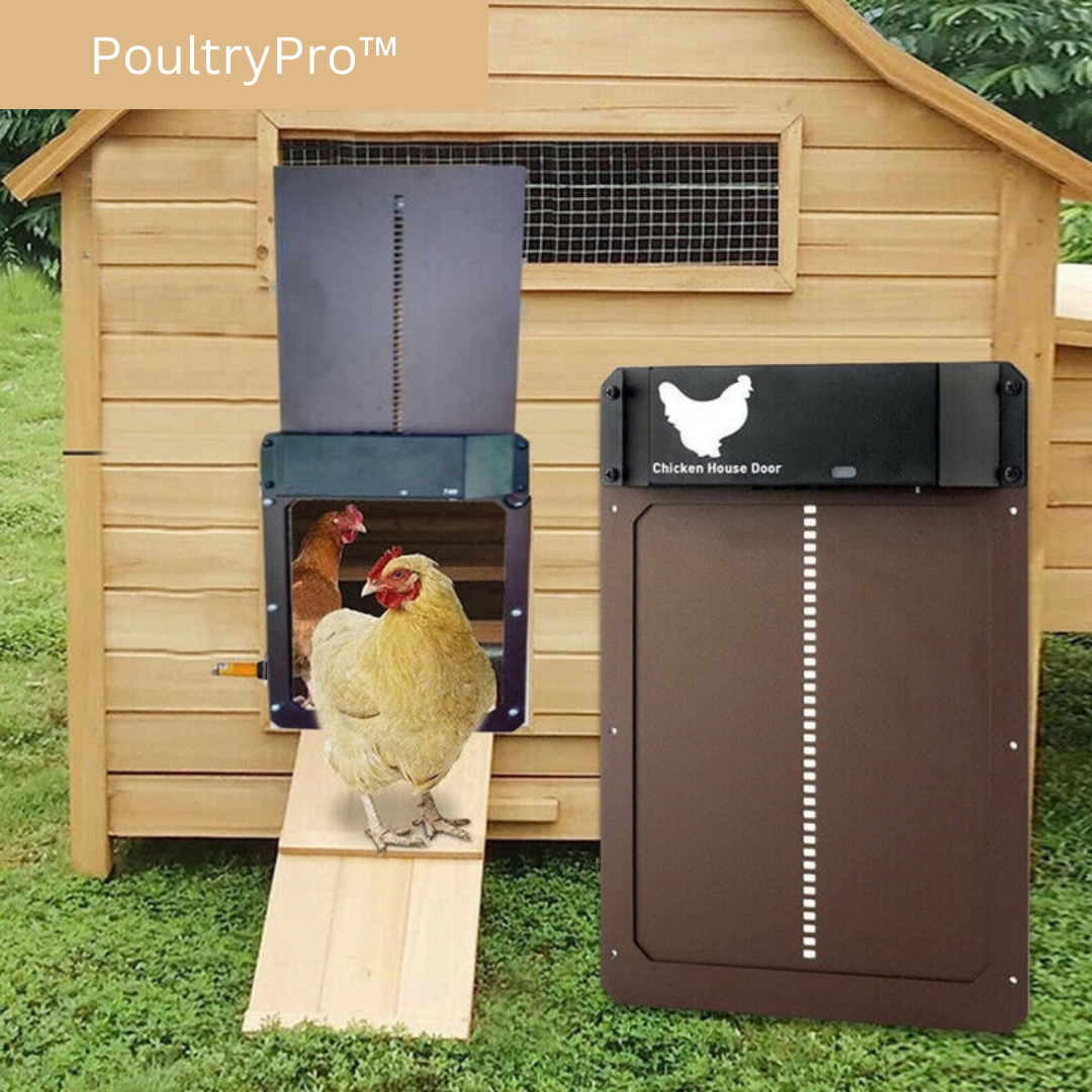 PoultryGuard Luxe Automatisk Dörr | Smart ljusstyrd dörr för säkra och trygga höns