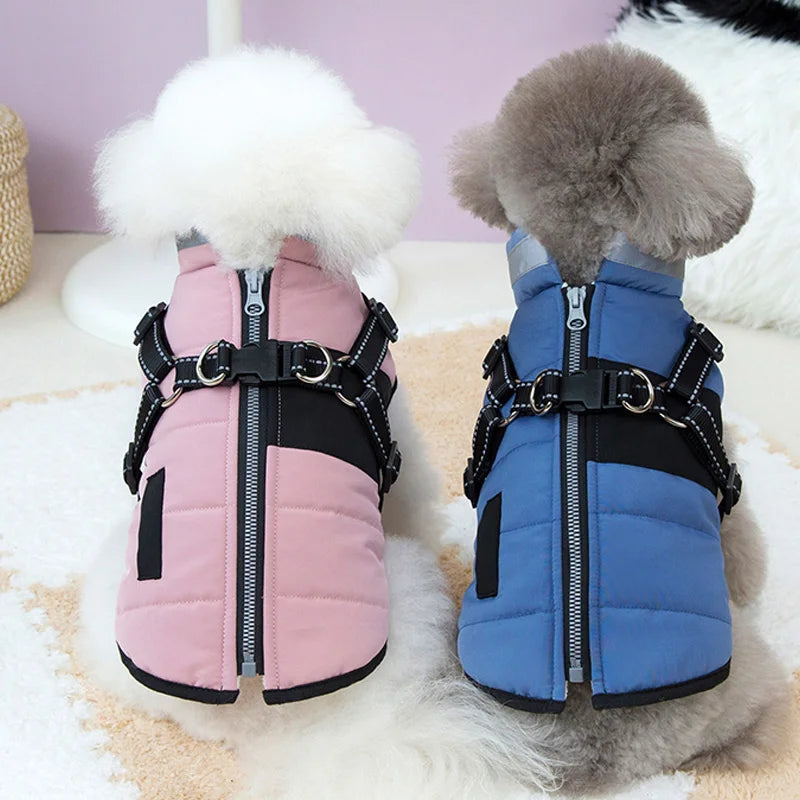LuxePaws Hundoutfit - Vindskyddande Jacka för Små och Medelstora Hundar