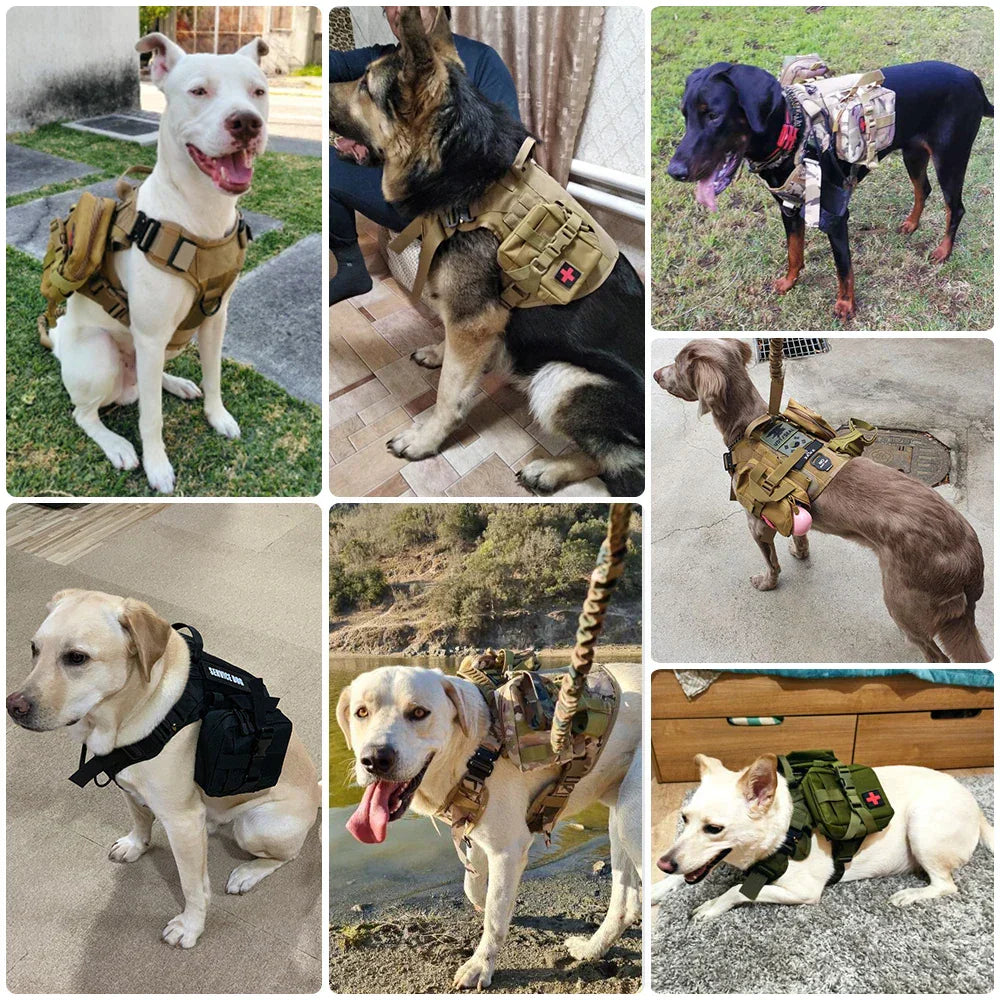 TacticalElite K9 Sele och Koppling Set - Militärstil Sele för Stora Hundar med Träningskoppel