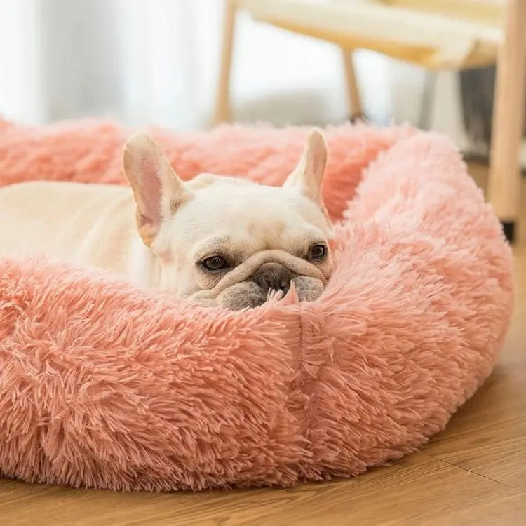 FurHaven Deluxe Hundsäng | Lång plysch, tvättbar säng för hundar och katter