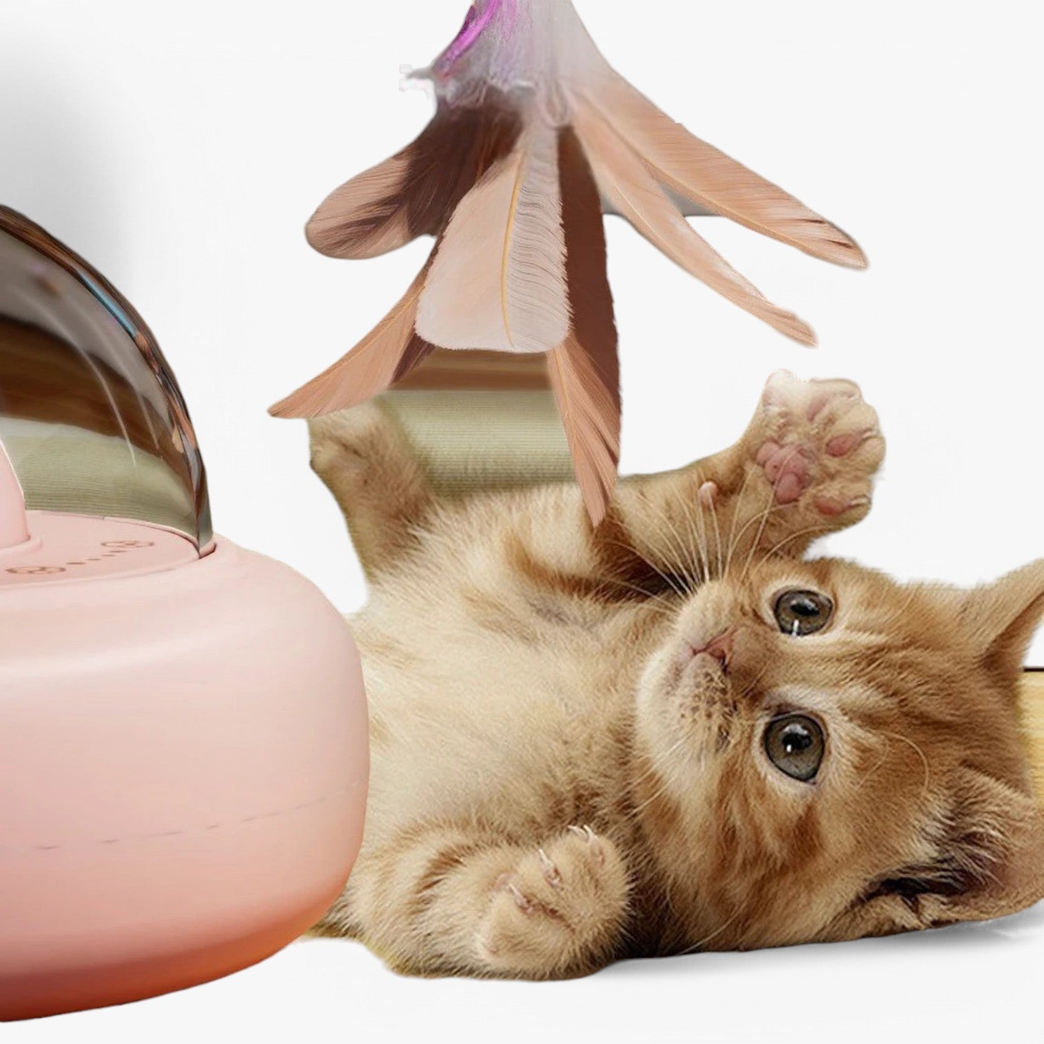 Slim Laser Cat Toy with Rainbow Light – Nola