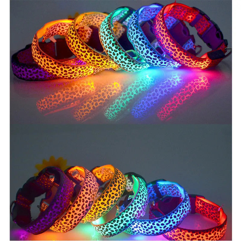 NightGlow LED Hundhalsband | Gå säkert och syns med detta lysande hundhalsband